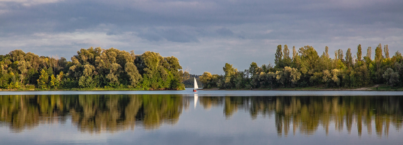 Унесенный ветром.