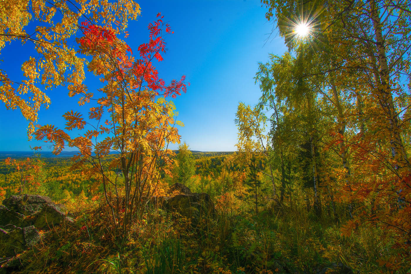 Осеннее солнце
