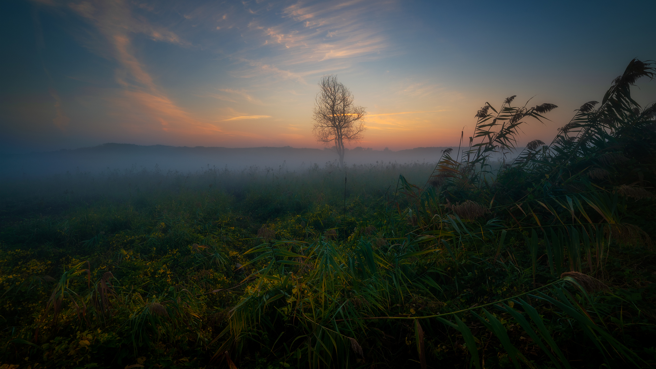 Мне малым-мало спалось ...