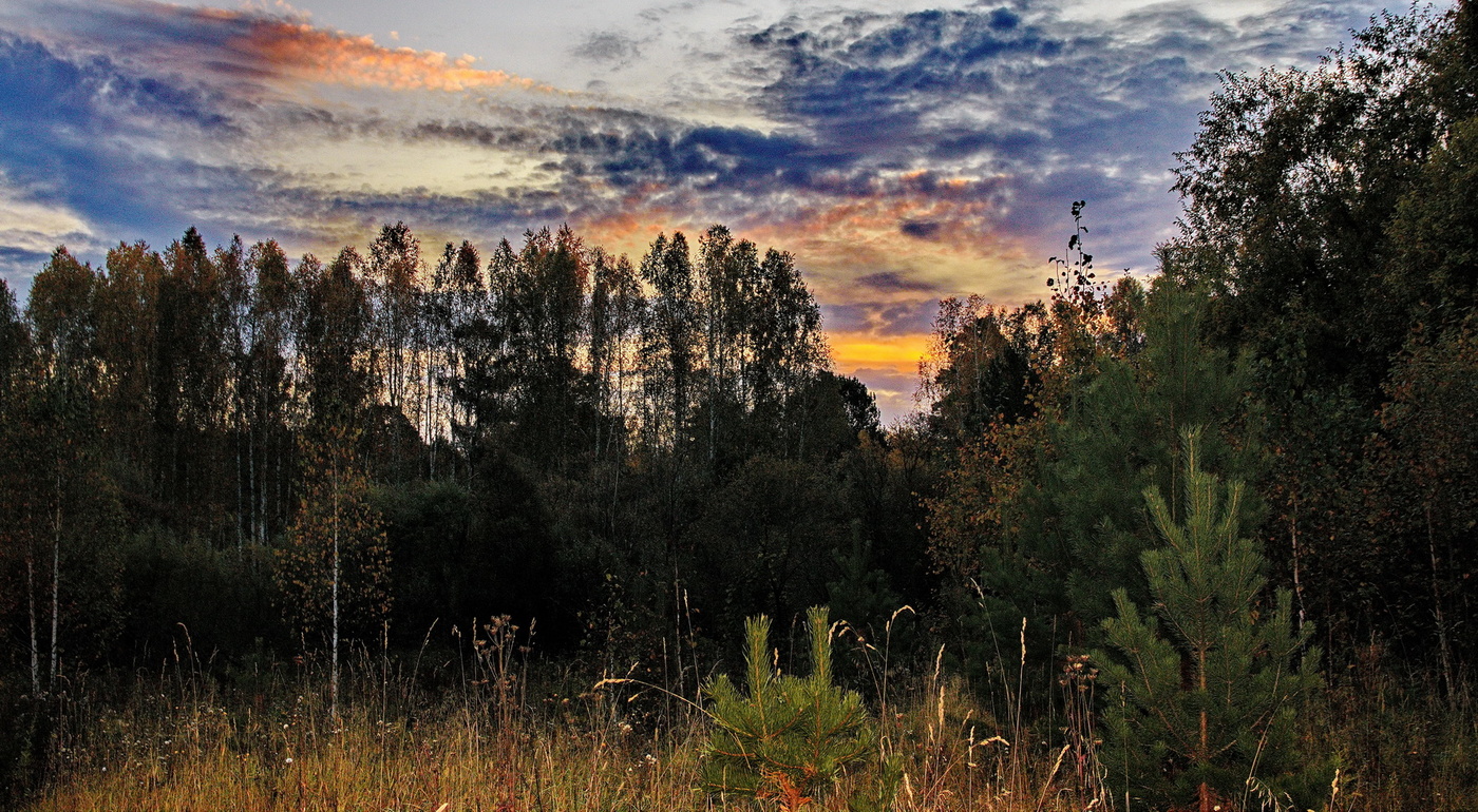 Вечерняя заря.