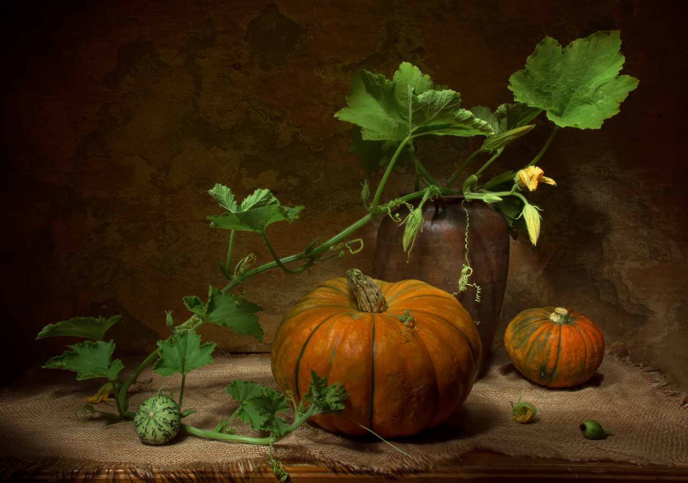 Время тыкв....