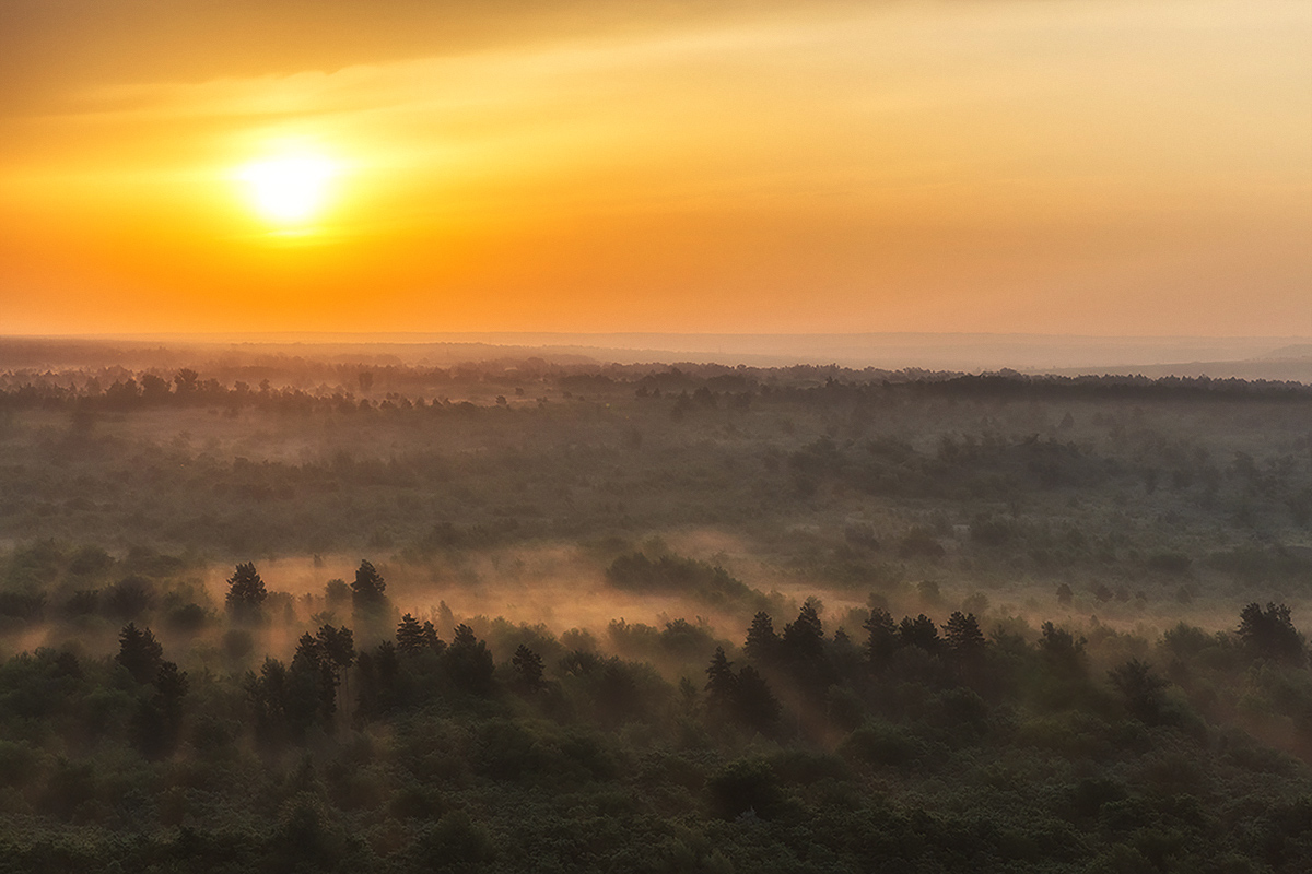 Утро в Бородиновском лесу