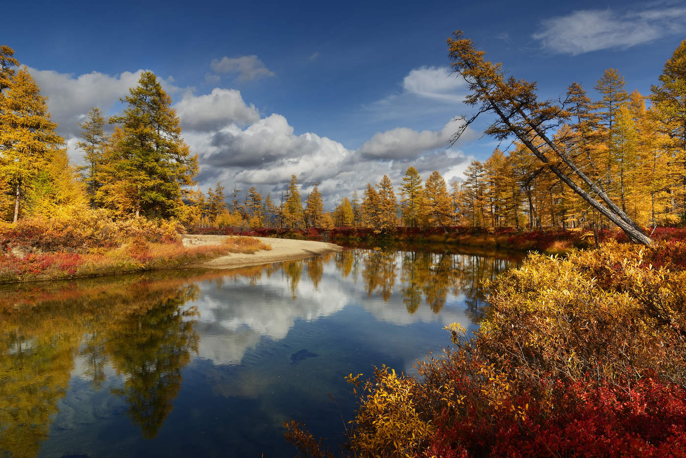 Солнечная Пурга...