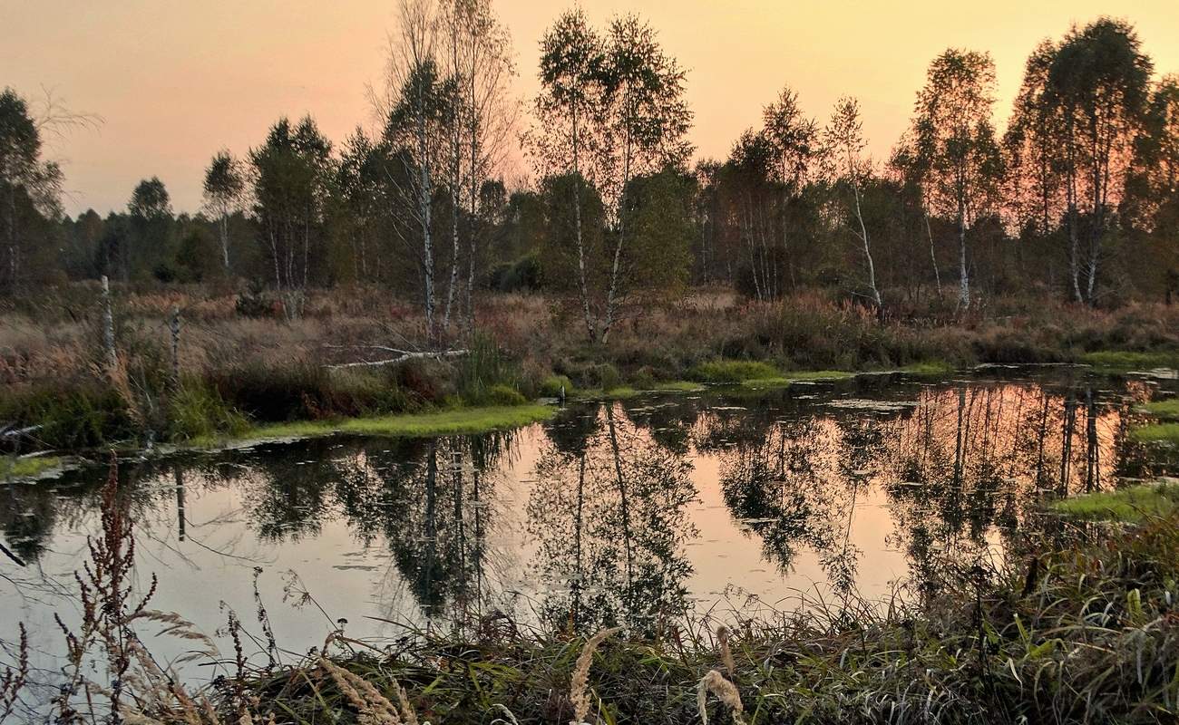 Сентябрьская вечерняя зарисовка