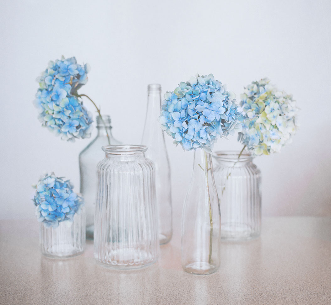 С голубой гортензией...