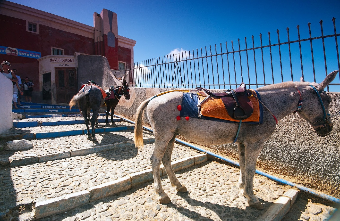 Остановка гужевого транспорта