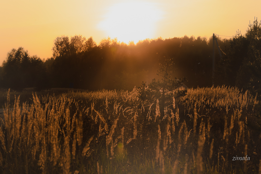 конец сезона