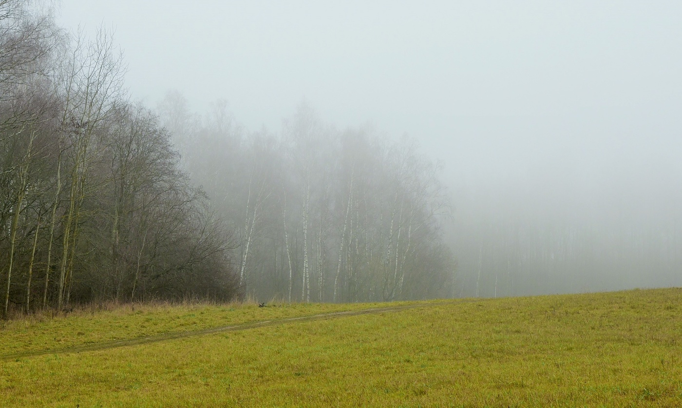 "Есть в поздней осени особая услада ..."