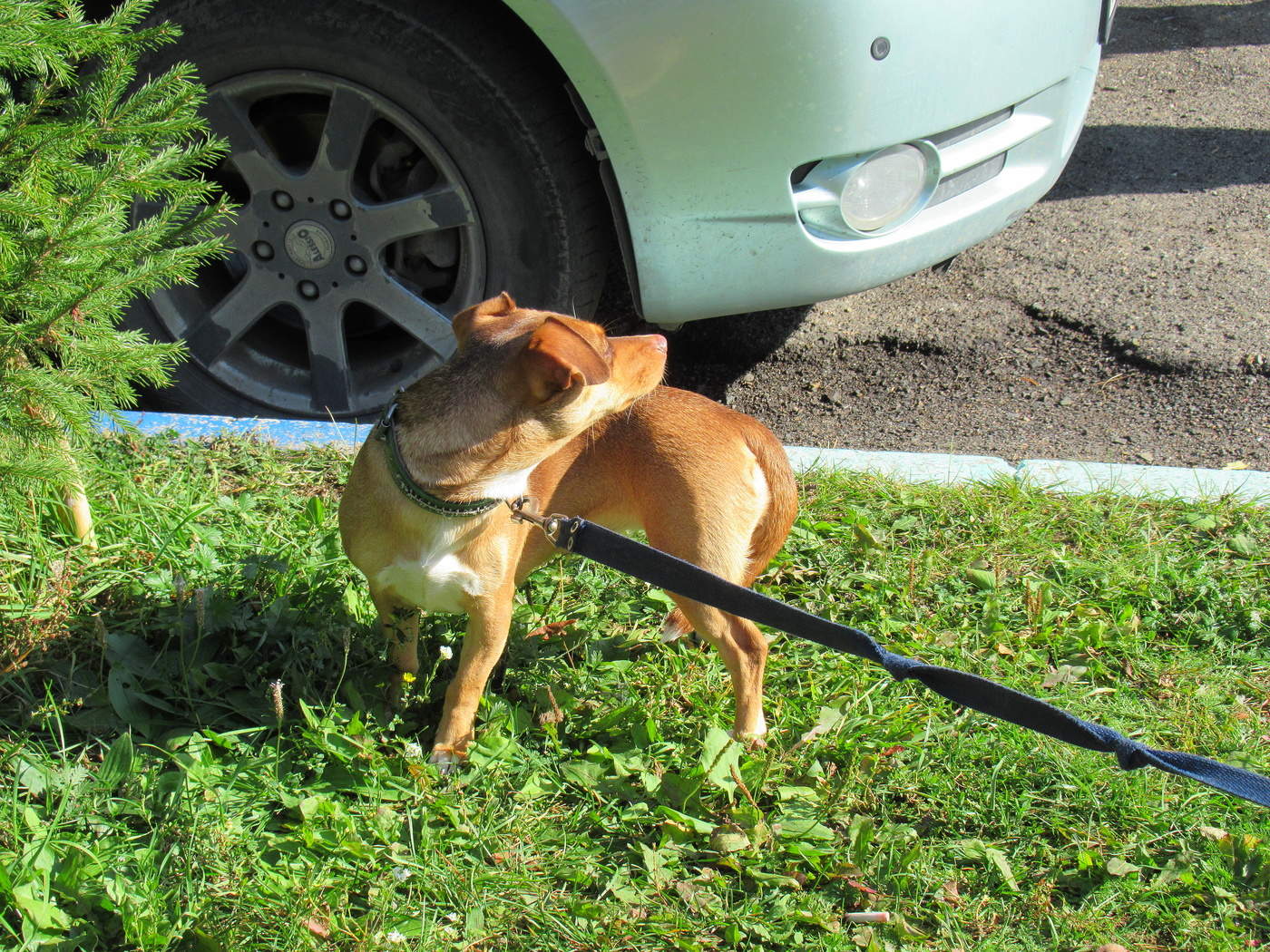 - Понаехали тут!