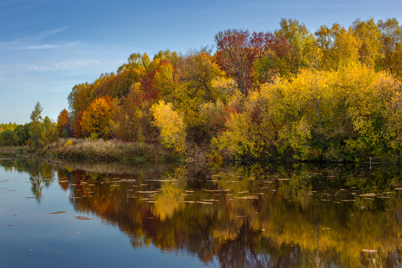 Осеннее утро