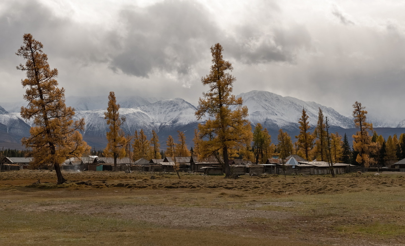 Осенний Курай.