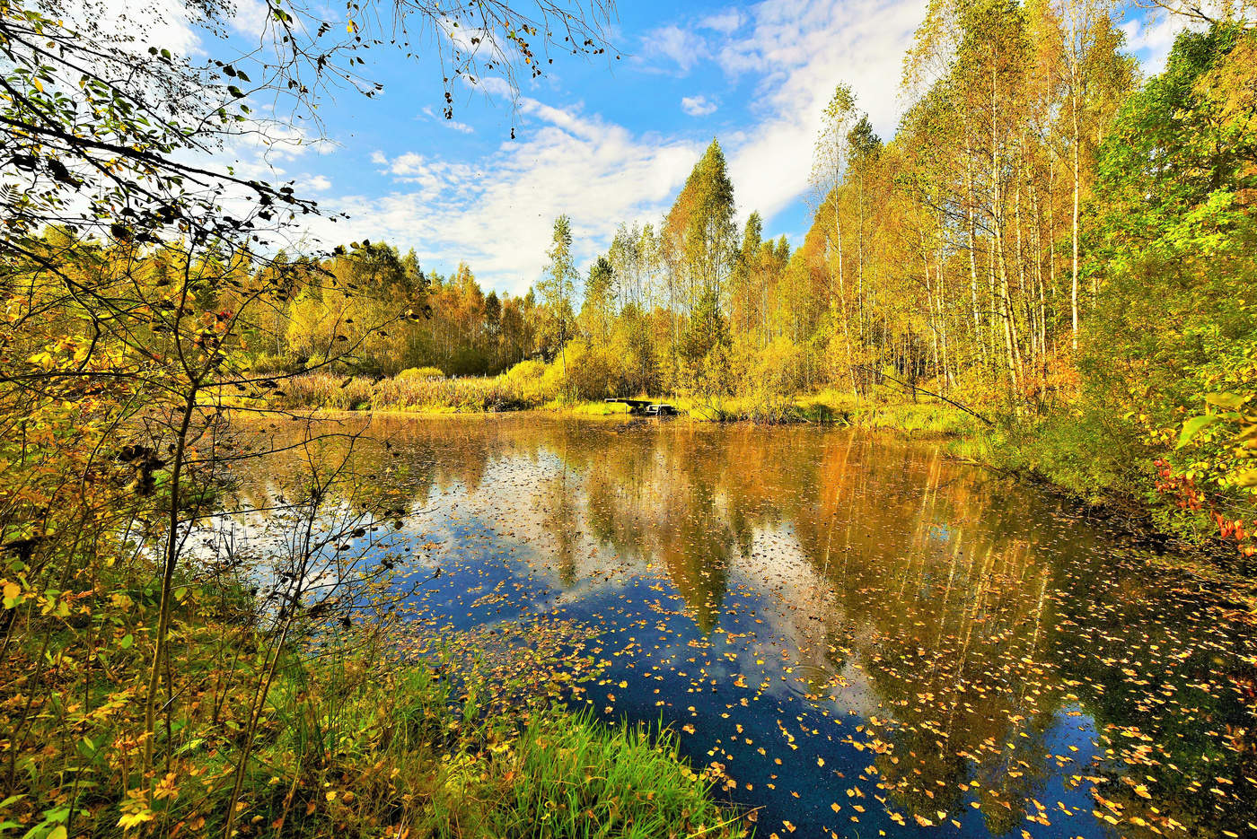 "Взглянула осень в зеркало пруда ..."