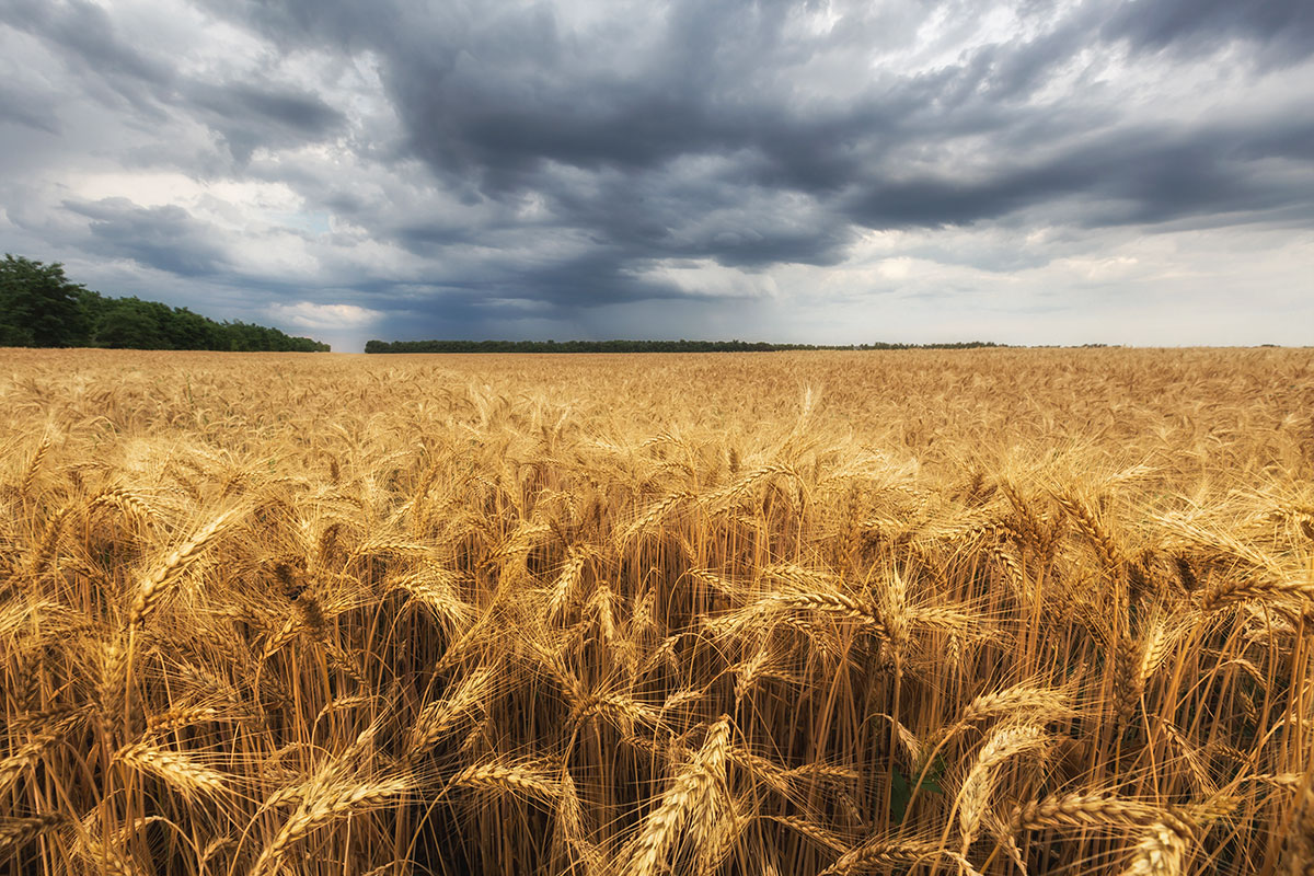 Серебро и золото