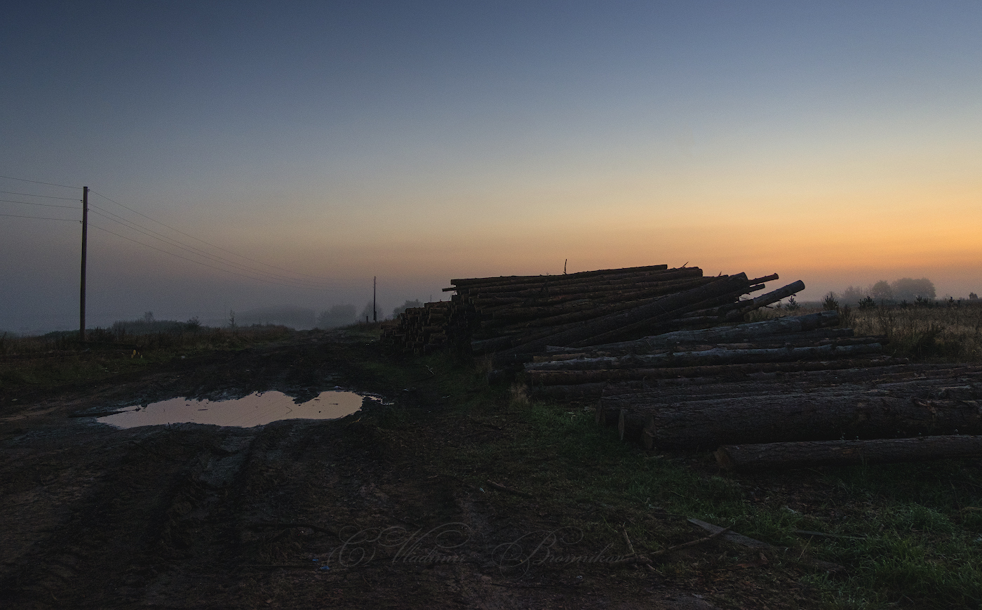 Строевой лес