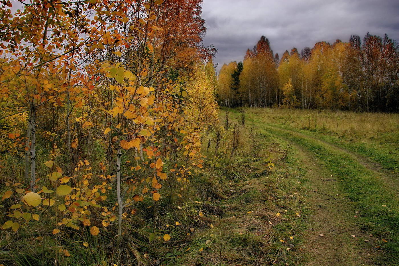 Грустный сентябрь.