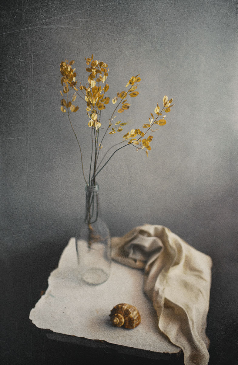 Послушай тишину...