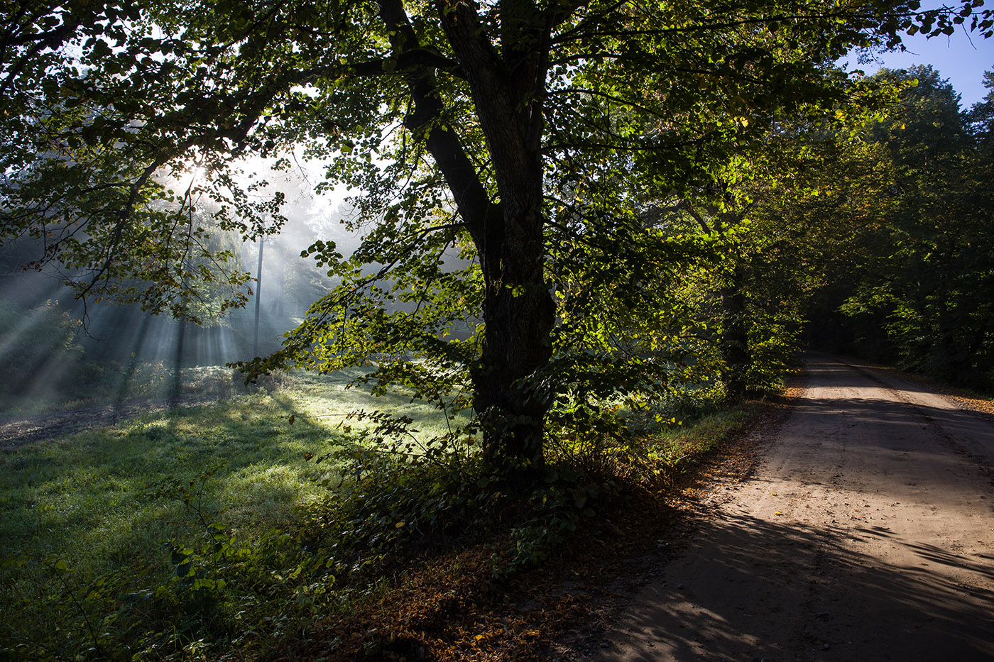 Внеплановая остановка