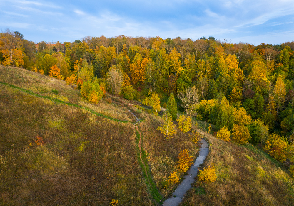 Осенний парк