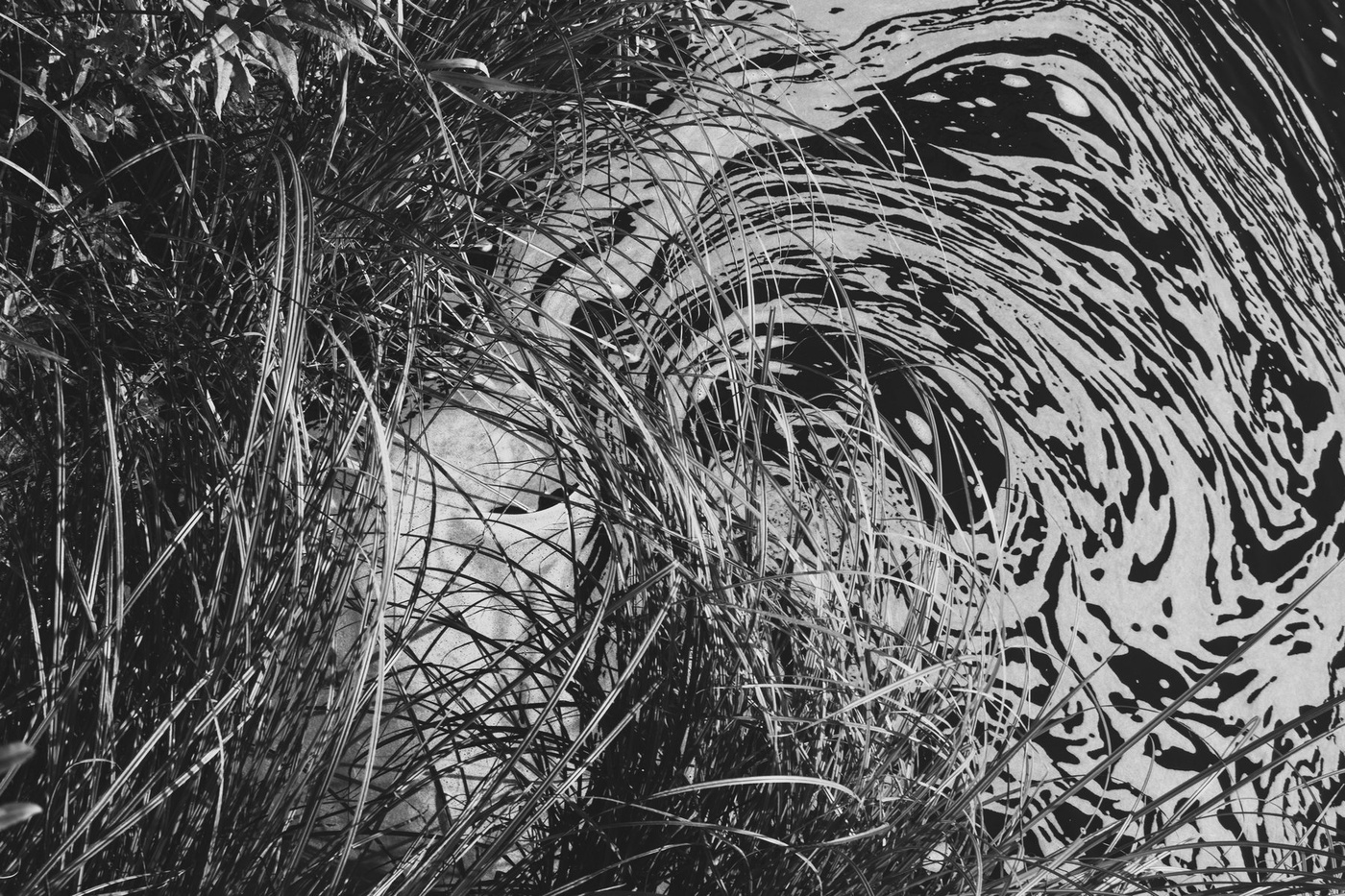 В белой пене