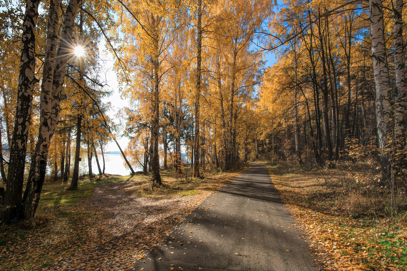 Осенняя дорога