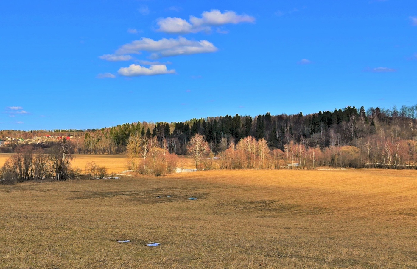 "Есть тайная печаль в весне первоначальной ..."