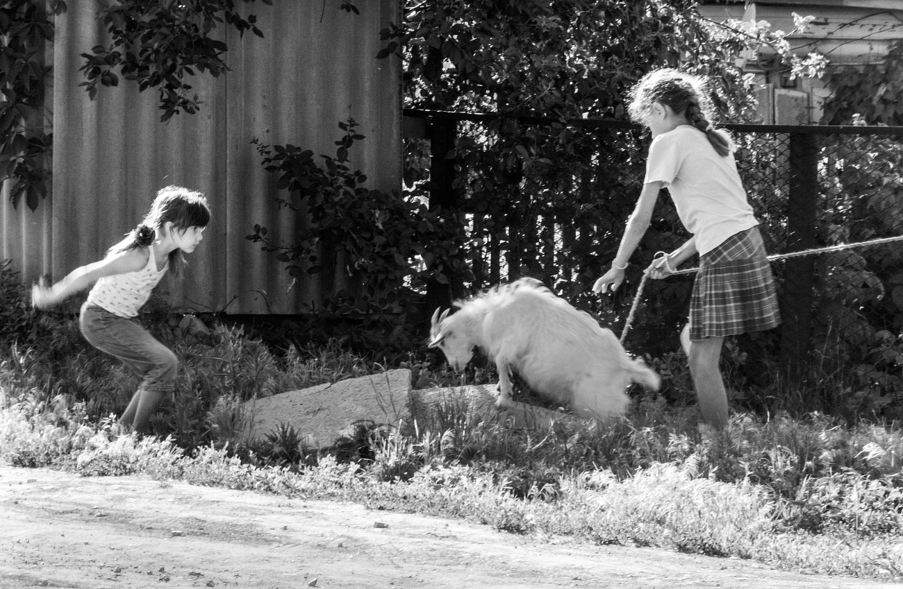 Нормальная ситуация