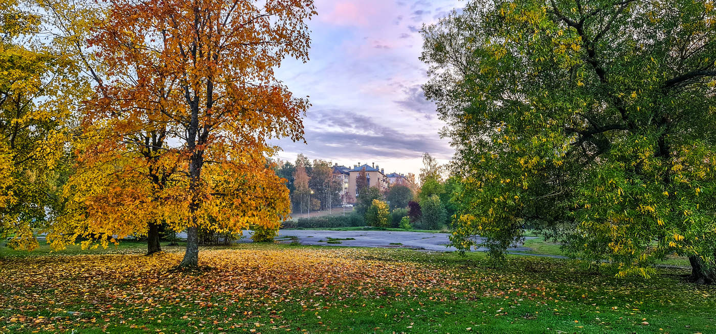 Нормальная ситуация