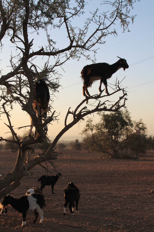 Нормальная ситуация