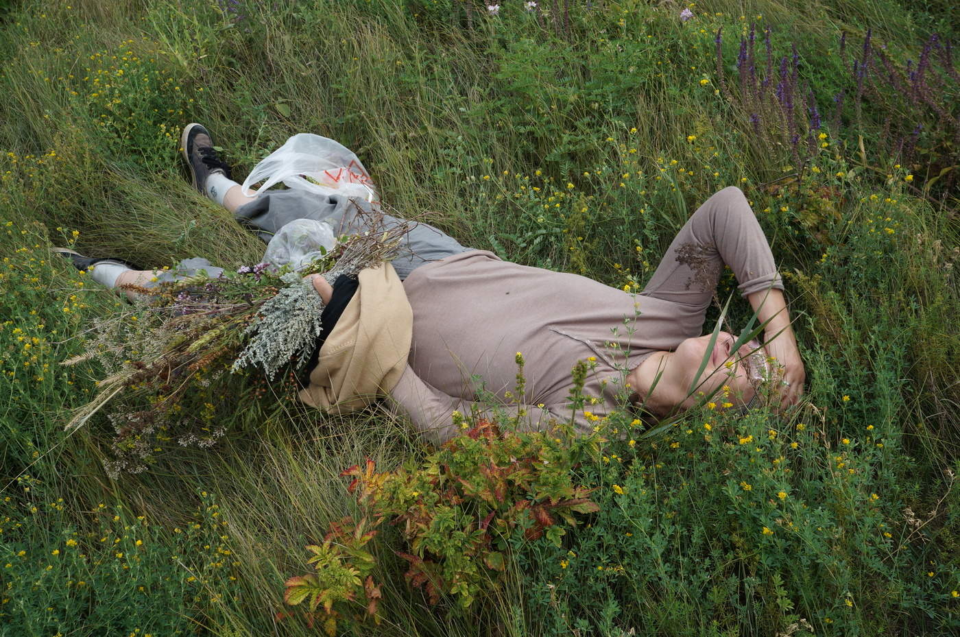 Нормальная ситуация