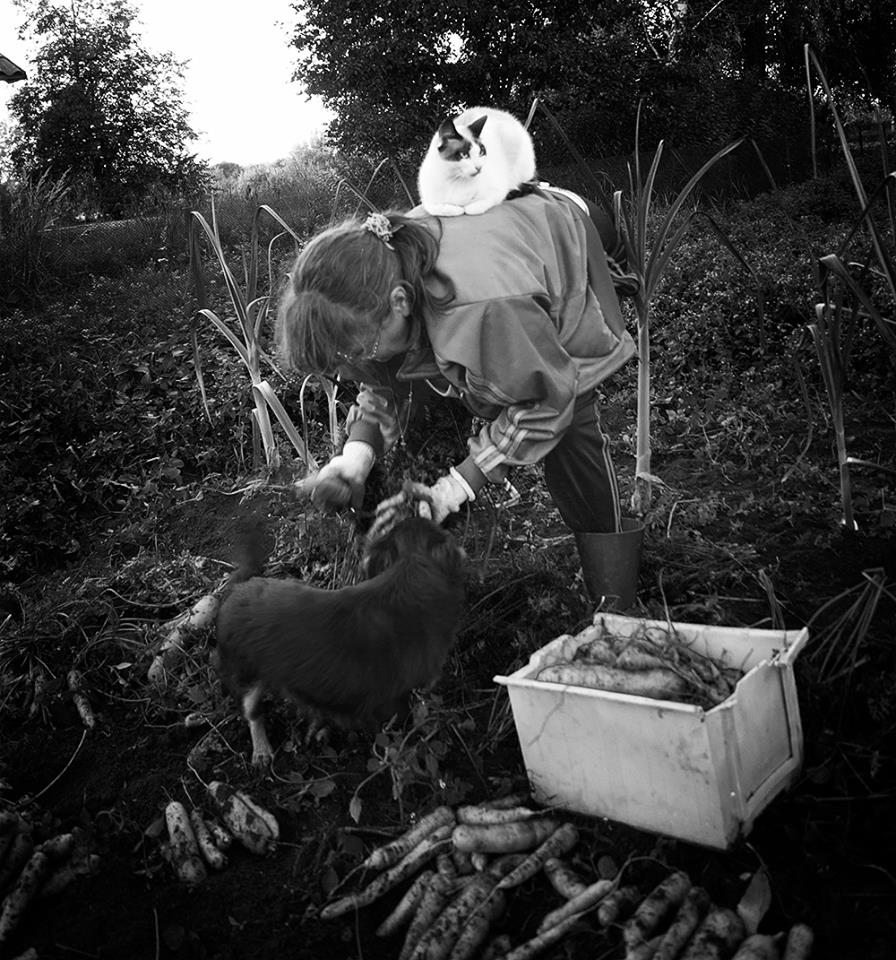 Нормальная ситуация