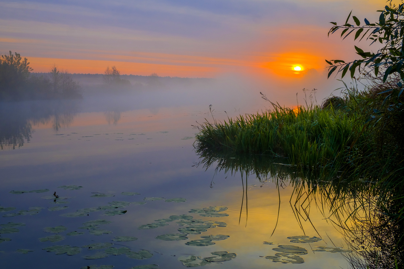 Осенние краски.