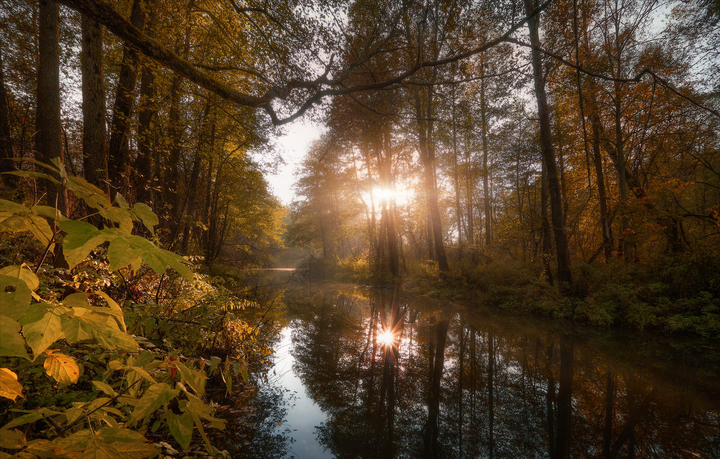 Тихие берега осени.
