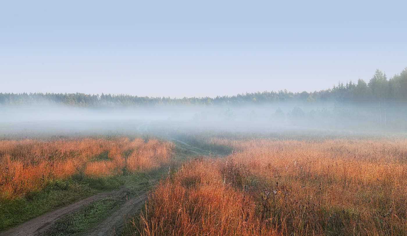 Нежность осеннего тумана