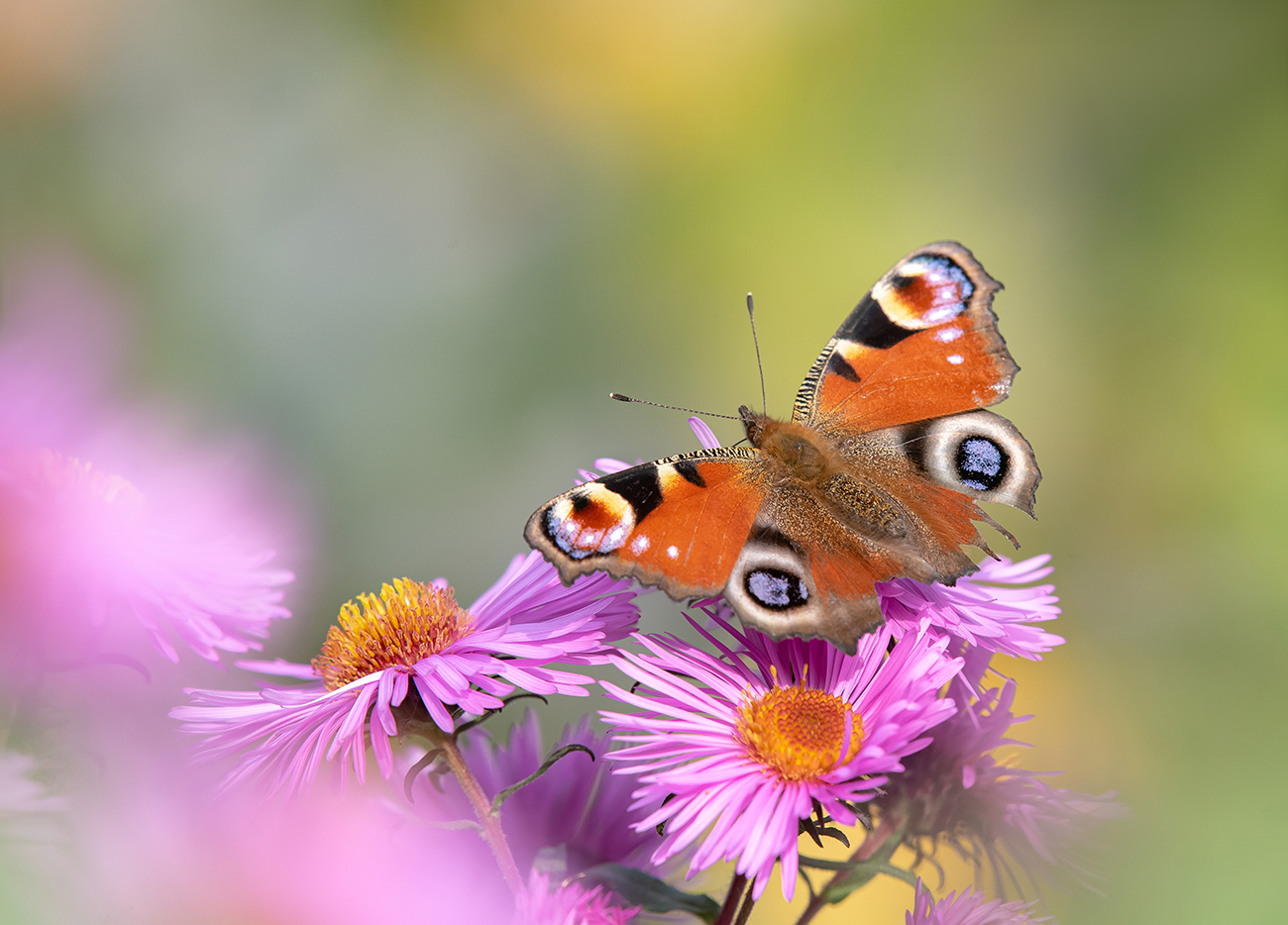 Тёплый октябрь