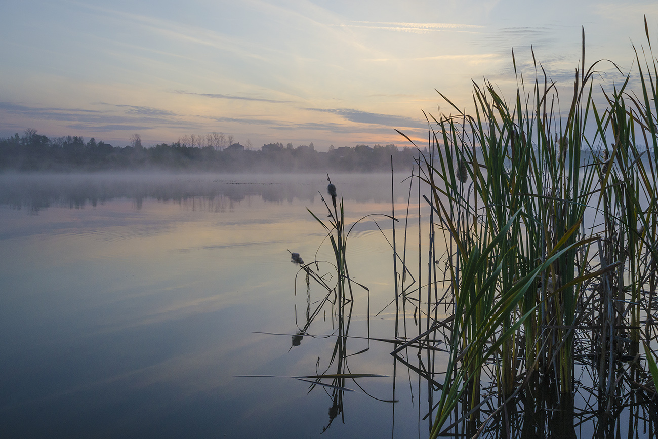 Предчувствие рассвета
