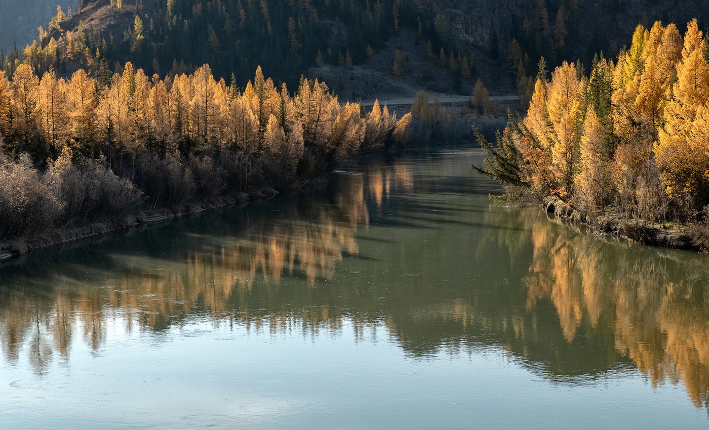 Золотые свечи Чуи.