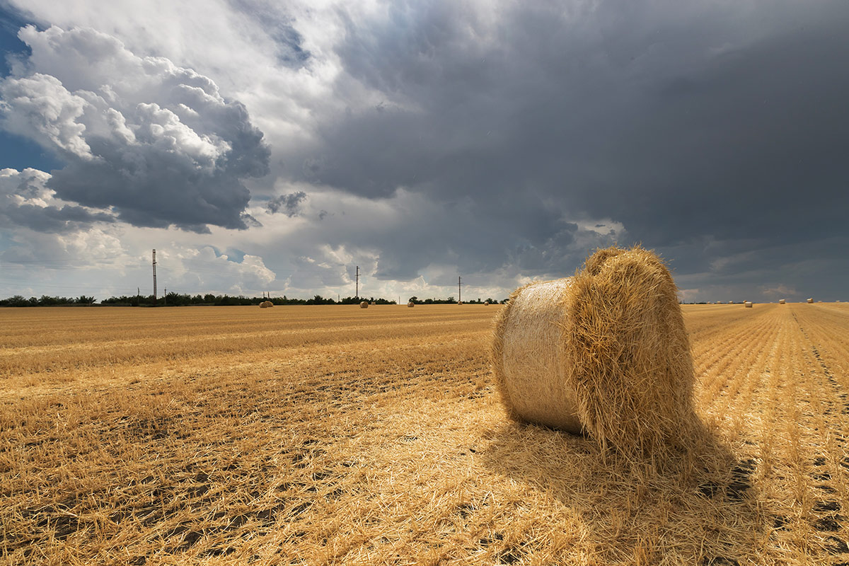 Перемена погоды