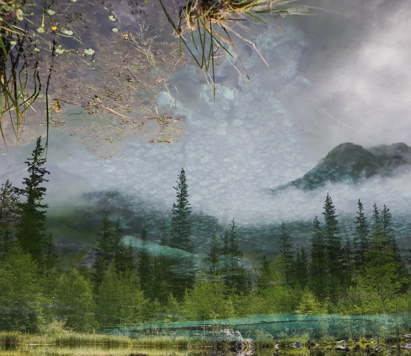 Мне снится сон...