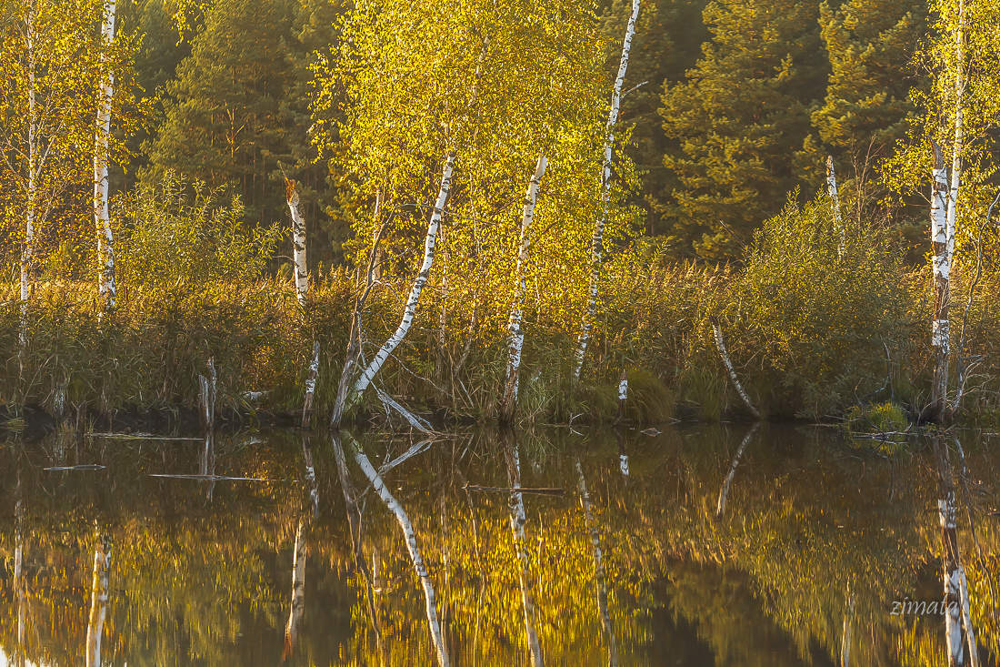 осенняя соната