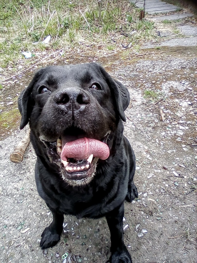 улыбка Ричи )