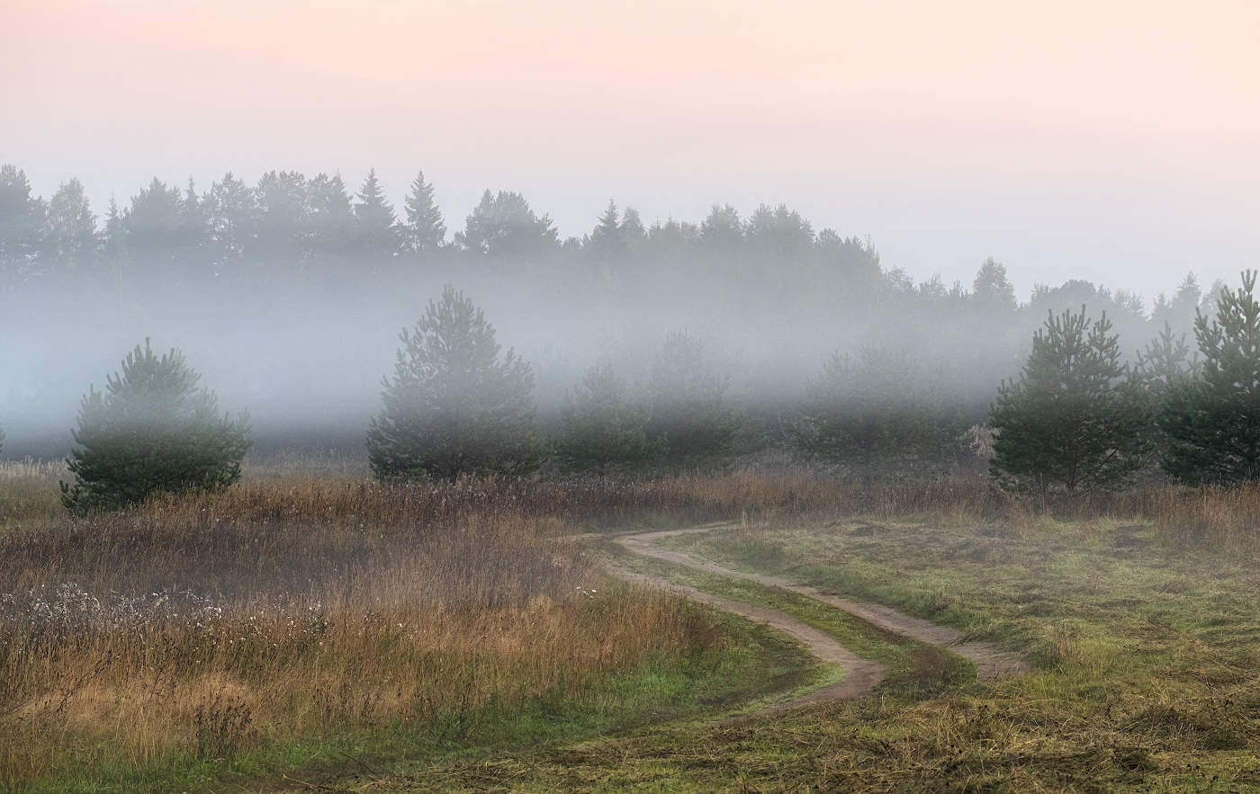 На неведомых дорожках...