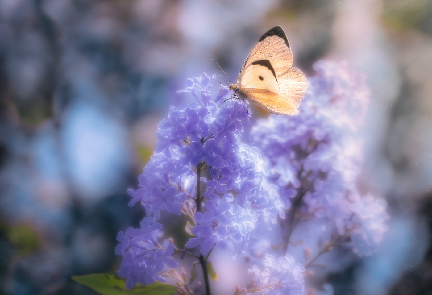 Где-то во Вселенной...