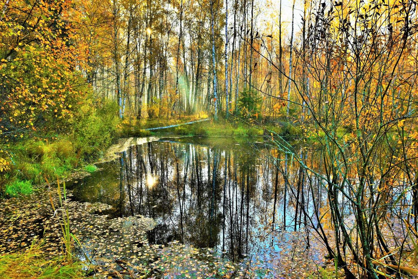 "Хотите тишины? Зайдите в Осень ..."