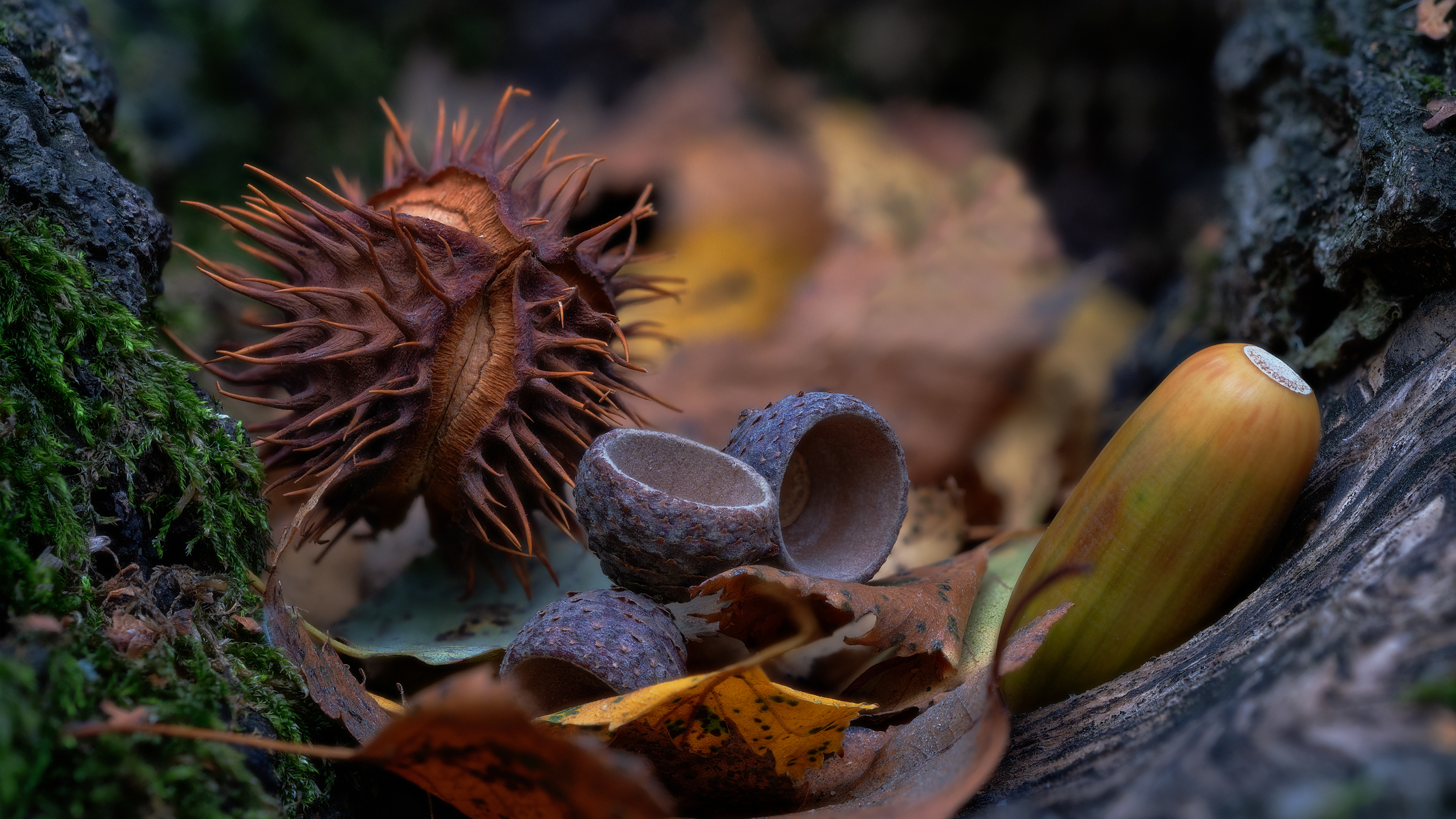 Артефакты осени