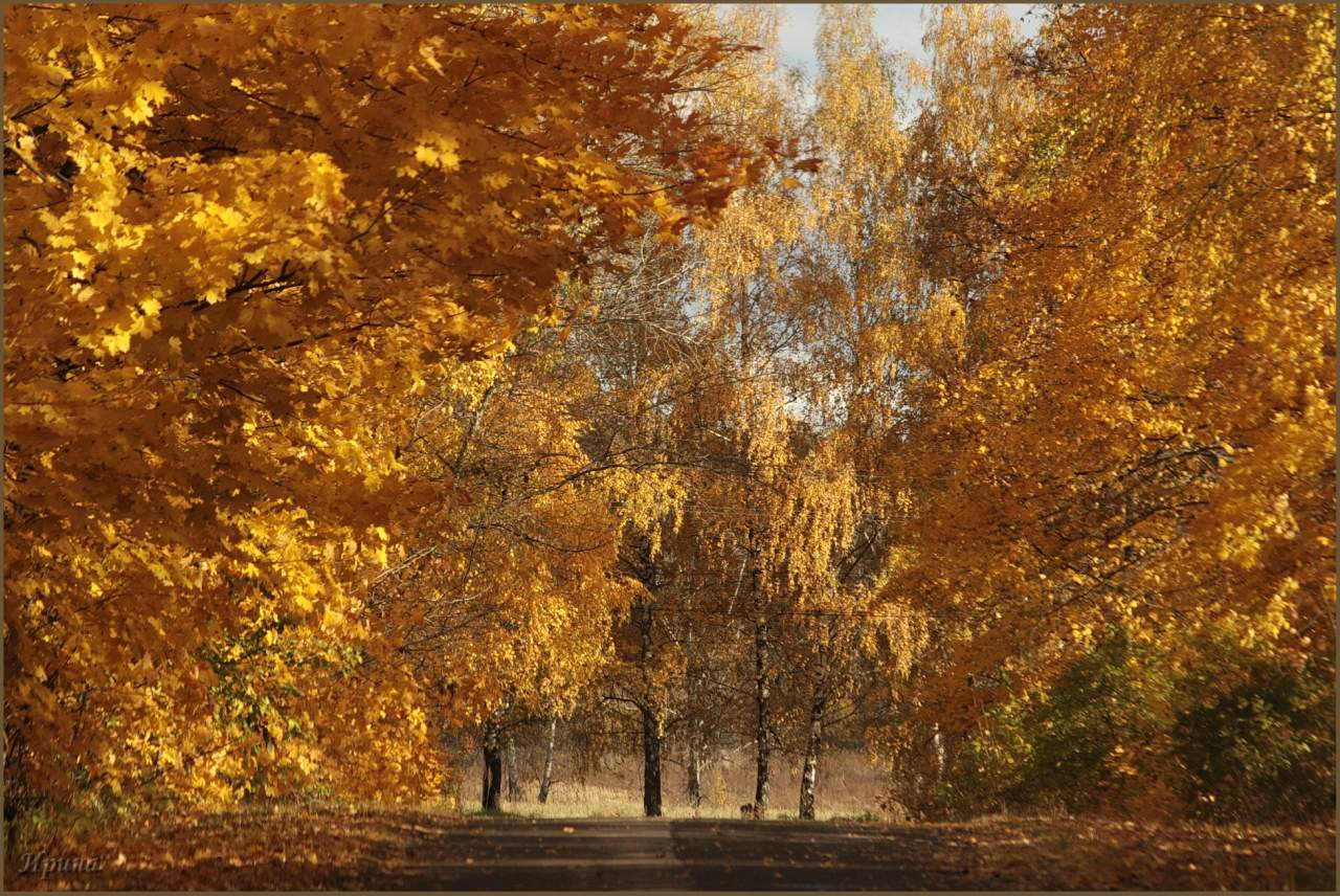 Осенняя соната