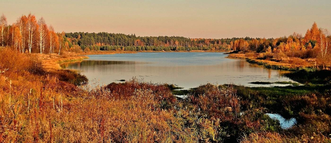 Осенняя соната