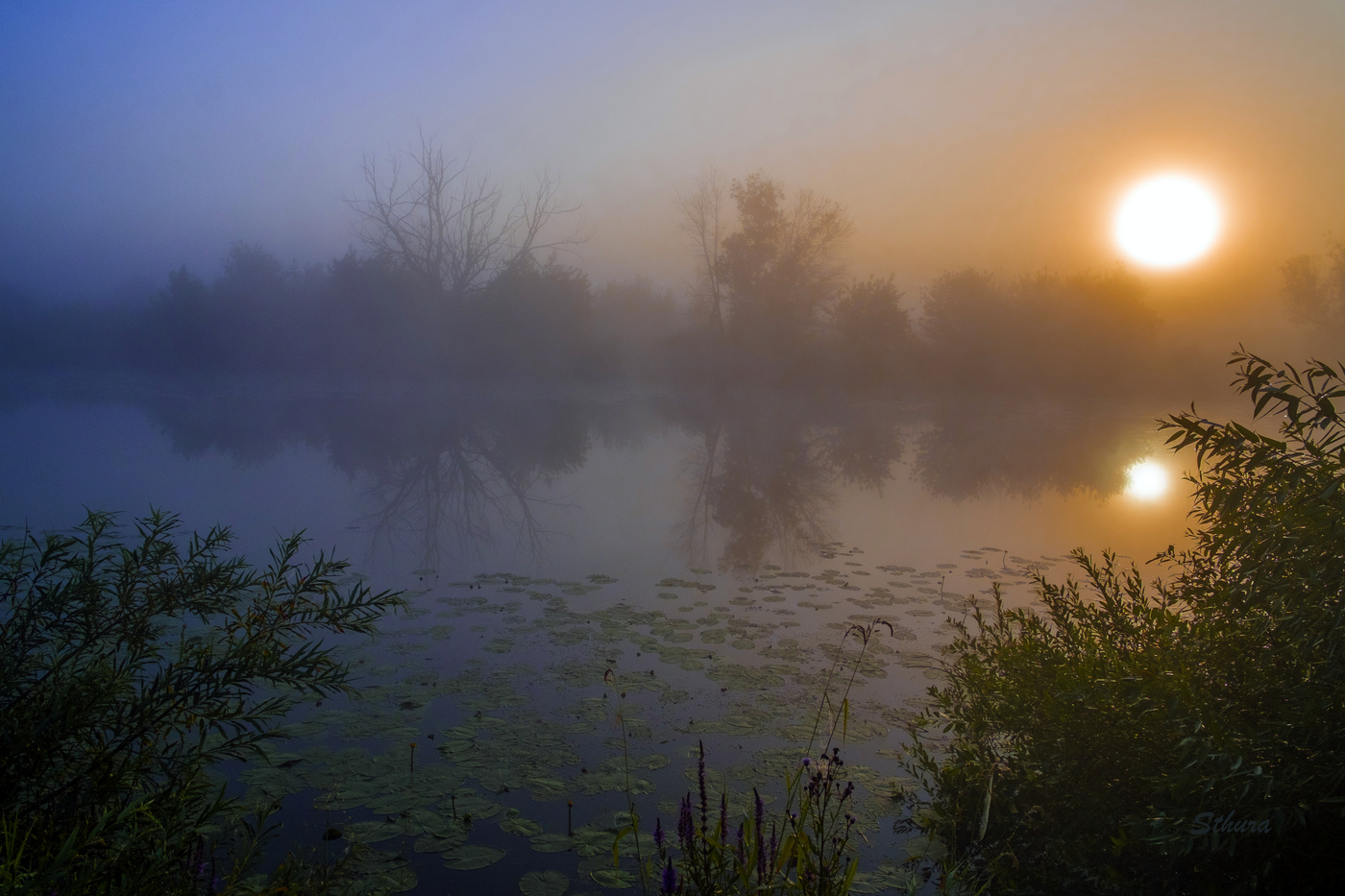 На Студёном туман.