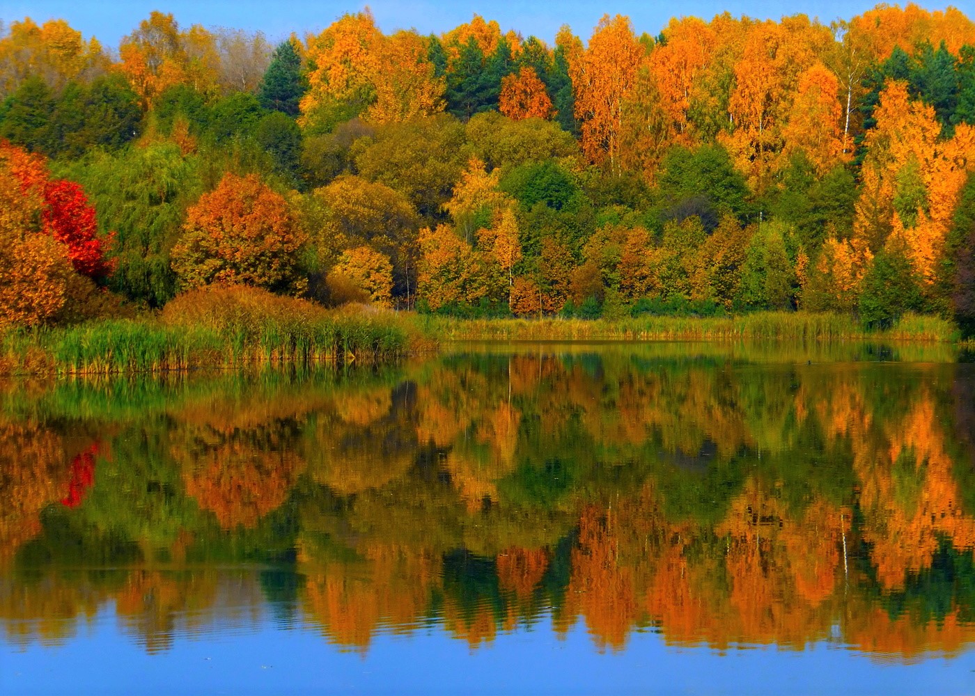 Осенняя соната