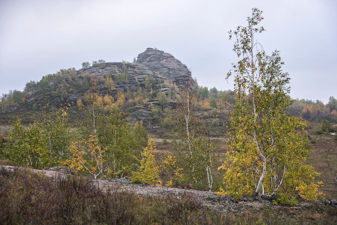 Осенняя соната