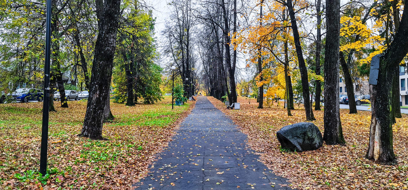 Осенняя соната